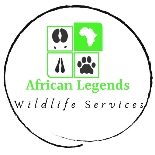 African Legends Wildlife